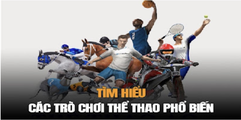 Nhiều bộ môn thể thao thu hút nhiều người chơi